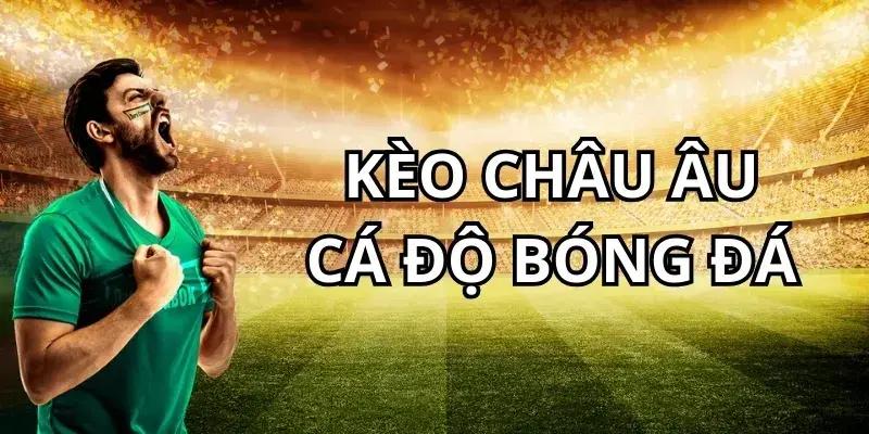 Chiến lược đặt cược dựa trên biến động tỷ lệ