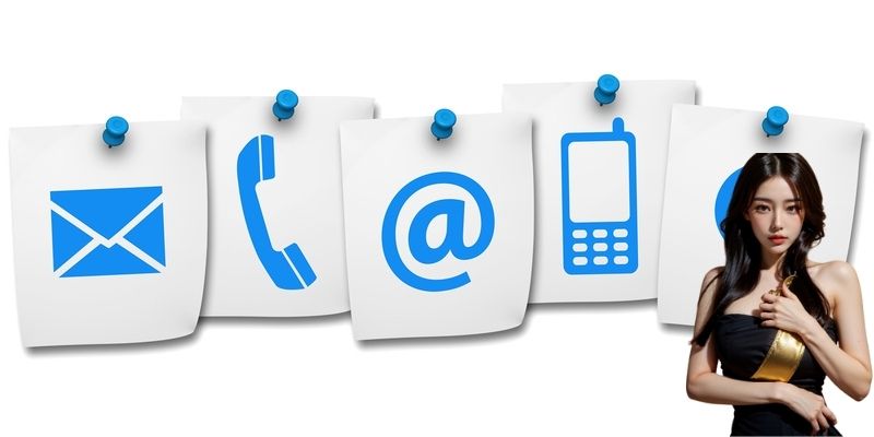 Hình thức liên hệ KO66 được ưa chuộng